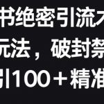 小红书绝密引流术2.0升级玩法，破封禁，轻松日引100+精准流量【揭秘】