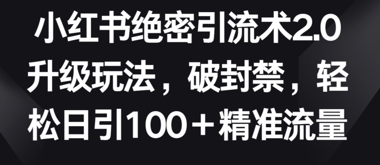 小红书绝密引流术2.0升级玩法，破封禁，轻松日引100+精准流量【揭秘】（小红书引流要注意什么雷区）-拾希学社