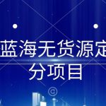 淘宝蓝海无货源定制细分项目，从0到起店实操全流程【揭秘】