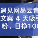 抖音遇见网易云音乐，新奇文案 4 天吸引 5W 粉，日挣1000+【揭秘】