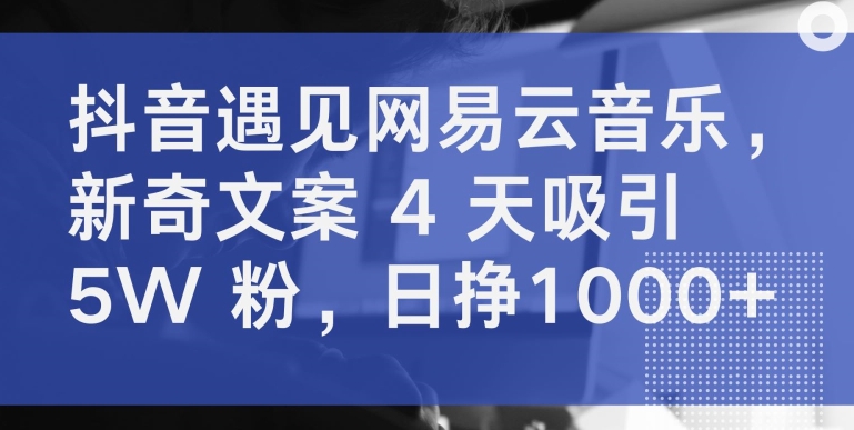 抖音遇见网易云音乐新奇文案 4 天吸引 5W 粉日挣1000+【揭秘】