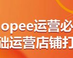 Shopee运营必备基础运营店铺打造，多层次的教你从0-1运营店铺