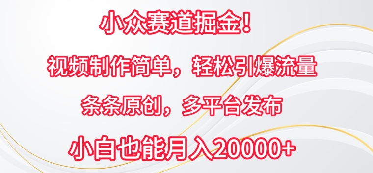 小众赛道掘金，视频制作简单，轻松引爆流量，条条原创，多平台发布【揭秘】（“掘金”）-拾希学社