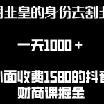 利用非皇的身份去割韭菜，一天1000+(附详细资源)【揭秘】