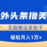 海外头条撸美金，无脑搬运发帖子，月入1万+，小白轻松掌握【揭秘】