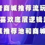 抖音商城运营课程，猜你喜欢入池商城搜索商城推荐人群标签覆盖