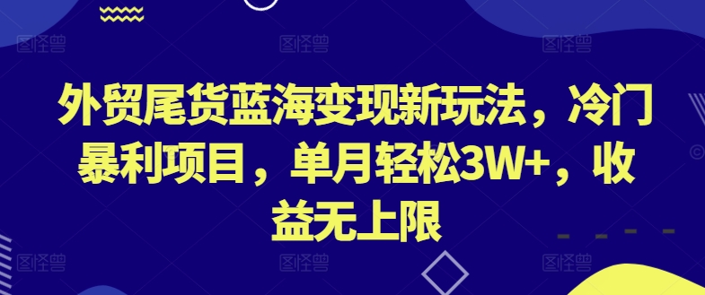 外贸尾货蓝海变现新玩法冷门暴利项目单月轻松3W+收益无上限【揭秘】