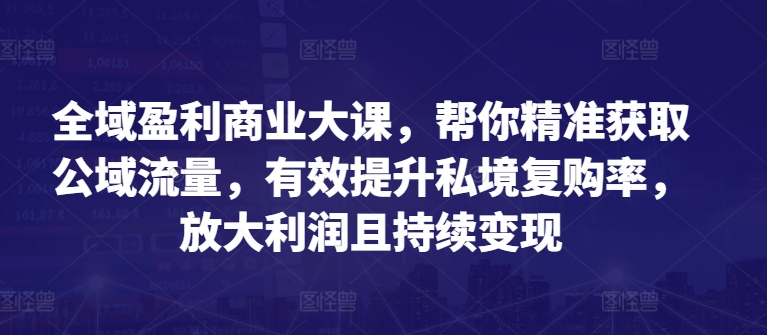 全域盈利商业大课，帮你精准获取公域流量，有效提升私境复购率，放大利润且持续变现（公域流量变成私域流量怎么办）-拾希学社