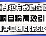 精准项目粉高效引流术，新手单日引流50+，多重变现方式稳定赚钱【揭秘】