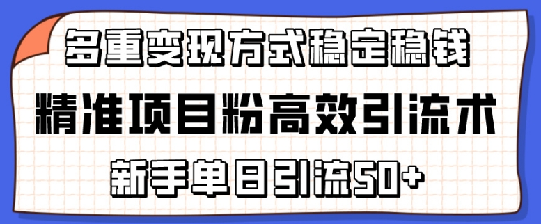 精准项目粉高效引流术，新手单日引流50+，多重变现方式稳定赚钱【揭秘】（什么叫引流吸粉）-拾希学社