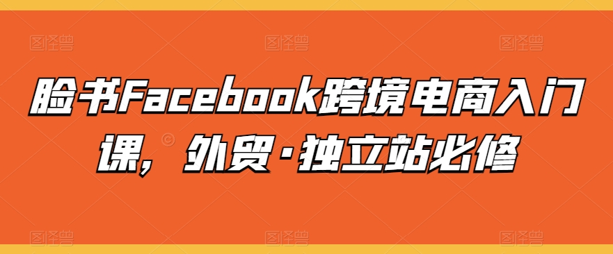 脸书Facebook跨境电商入门课外贸·独立站必修