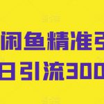 独家闲鱼精准引流，日引流300+【揭秘】