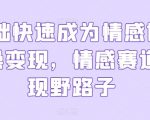 0基础快速成为情感博主实操变现，情感赛道变现野路子