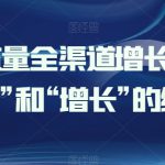 引爆流量全渠道增长，打好“获客”和“增长”的组合拳