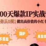 小红书100天爆款IP实战营，带你从0到1做出高价值的小红书号