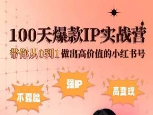 小红书100天爆款IP实战营带你从0到1做出高价值的小红书号