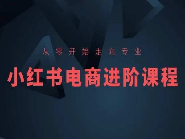 从零开始走向专业小红书电商进阶课程