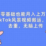 零基础也能月入上w，TikTok风景视频搬运，简单去重，无脑上传【揭秘】