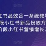 小红书品效合一系统教学，​0~1阶段小红书新品投放方法论，​1~10阶段小红书营销增长方法论