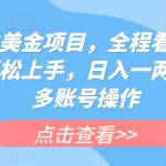 海外撸美金项目，全程看直播，小白轻松上手，日入一两张，可多账号操作【揭秘】