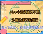 vivo中视频蓝海项目，沙雕动漫无脑搬运，小白也可轻松上手【揭秘】