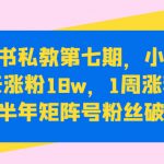 小红书私教第七期，小红书90天涨粉18w，1周涨粉破万，半年矩阵号粉丝破百万