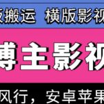 百万博主影视搬运技术，卡模板搬运、可挂风行，安卓苹果都可以【揭秘】