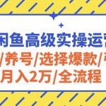 2024闲鱼高级实操运营课程：开店/养号/选择爆款/引流/月入2万/全流程