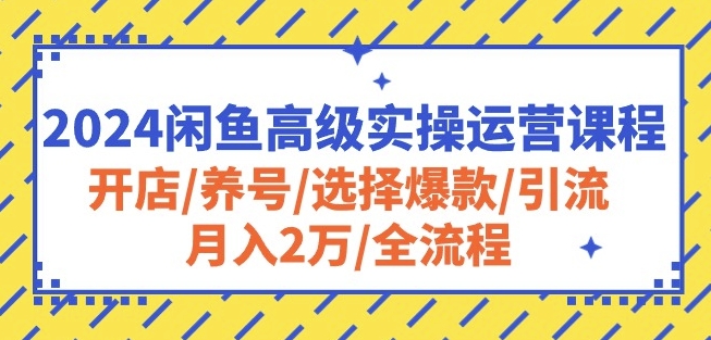 2024闲鱼高级实操运营课程：开店/养号/选择爆款/引流/月入2万/全流程（如何运营好闲鱼）-拾希学社