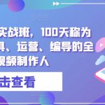 高薪剪辑师IP实战班，100天称为懂拍剪、AI工具、运营、编导的全能型视频制作人