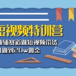 教辅短视频特训营： 素人口播教辅赛道做短视频带货，单月做到20w佣金