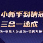 从小新手到销冠 三合一速成：销售3法+非暴力关单法+销售系统挖需课 (27节)