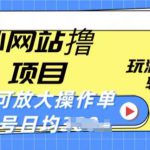 海外网站撸金项目，玩游戏赚美金，轻松简单可放大操作，单号每天均一两张【揭秘】