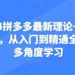 2024拼多多最新理论+实操干货，从入门到精通全链路多角度学习