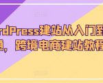 WordPress建站从入门到精通，跨境电商建站教程