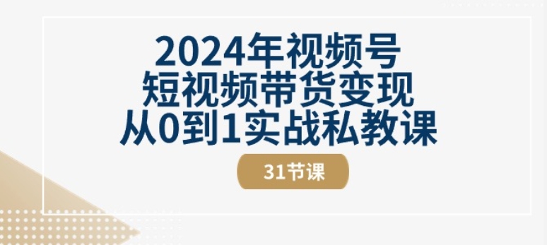 2024年视频号短视频带货变现从0到1实战私教课(31节视频课)（视频号带货赚钱）-拾希学社