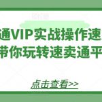 小红书电商运营从入门到精通课，电商店群实战，从0开始到学会