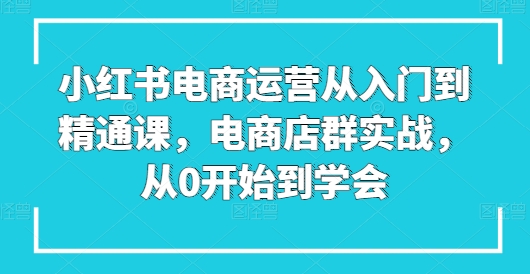 小红书电商运营从入门到精通课，电商店群实战，从0开始到学会（小红书平台运营流程）-拾希学社