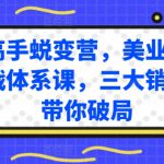 销售高手蜕变营，美业销售高手实战体系课，三大销售体系带你破局