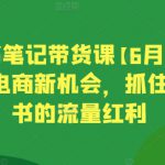 小红书笔记带货课【6月更新】流量电商新机会，抓住小红书的流量红利