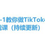 从0-1教你做TikTok小店实操课(持续更新)，手把手教你，简单易学