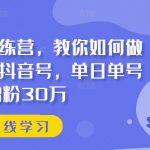 抖音实训训练营，教你如何做一个赚钱的抖音号，单日单号增粉30万