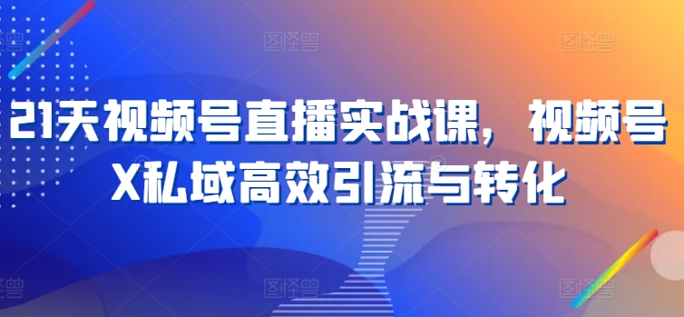 21天视频号直播实战课视频号X私域高效引流与转化