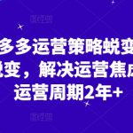 2024拼多多运营策略蜕变3.0，0-1完美蜕变，解决运营焦虑，缩短运营周期2年+