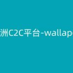 欧洲C2C平台-wallapop-kim跨境电商教程