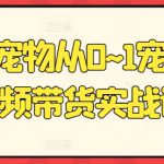 元宝宠物从0~1宠物短视频带货实战课