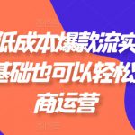 拼多多低成本爆款流实战私教课，0基础也可以轻松搞定电商运营