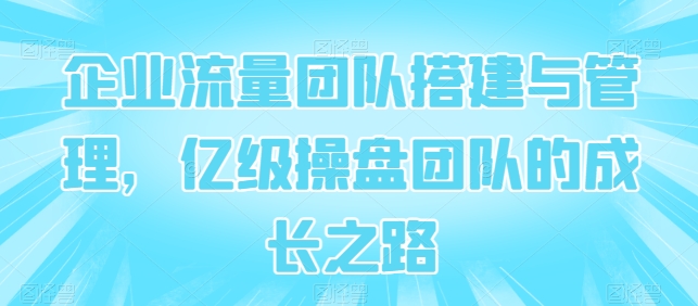 企业流量团队搭建与管理亿级操盘团队的成长之路