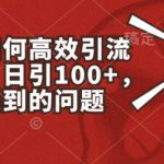 小红书如何高效引流创业粉，日引100+，解决你遇到的问题【揭秘】