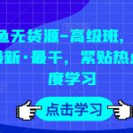 闲鱼无货源-高级班，最全·最新·最干，紧贴热点 深度学习